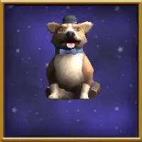 Corgi refinado