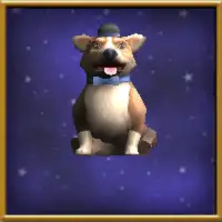 Corgi refinado