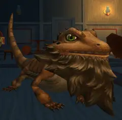 Dragon barbudo (SUN)