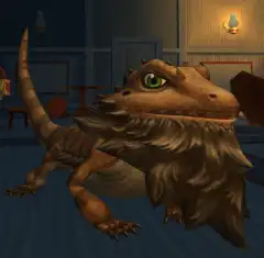 Dragon barbudo (SUN)