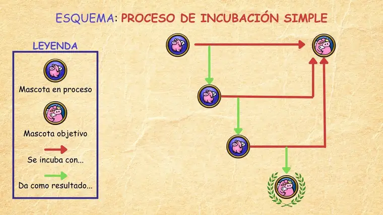 Guía Avanzada de Mascotas - Esquema incubación simple