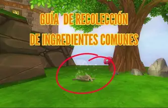 Portada guía de recolección