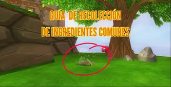 Portada guía de recolección