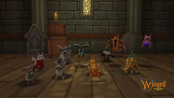 Juega con tus mascotas