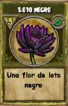 Loto Negro recolectable de Wizard101