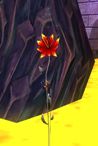 Aspecto Lirio de Lava