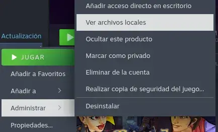 Ver Archivos Locales Steam