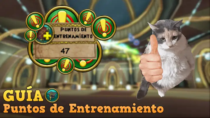 Puntos de Entrenamiento EXTRA: ¿Dónde conseguirlos?